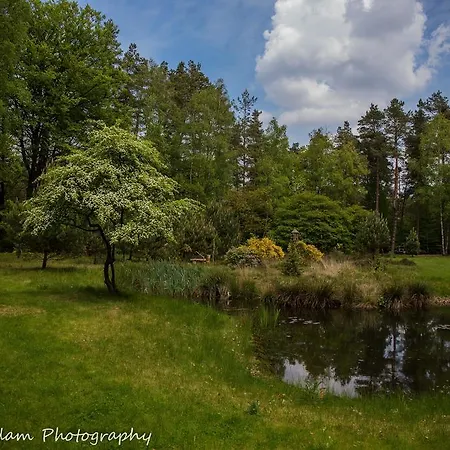 ベッド・アンド・ブレックファスト Viva La Veluwe ヌンスペート