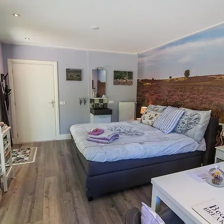 Bed & Breakfast Viva La Veluwe *