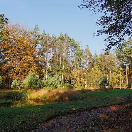 Viva La Veluwe Bed & Breakfast