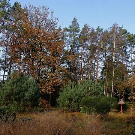 Bed & Breakfast Viva La Veluwe *