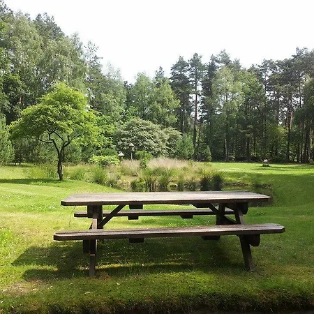 Viva La Veluwe *