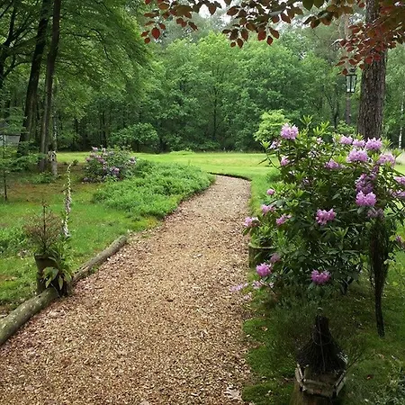Viva La Veluwe