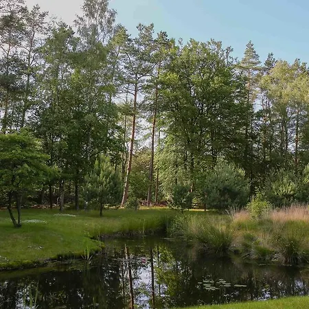 Viva La Veluwe * Nunspeet