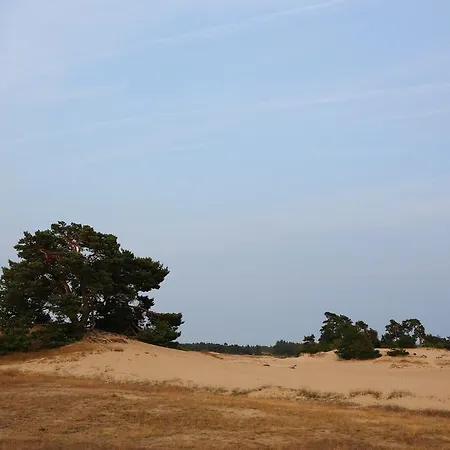 Bed & Breakfast Viva La Veluwe *