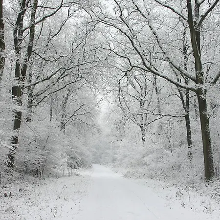 Viva La Veluwe *