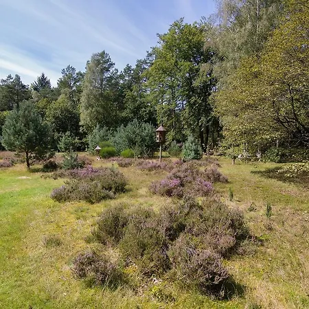 Viva La Veluwe Bed & Breakfast *