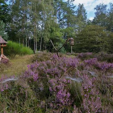 Viva La Veluwe Bed & Breakfast Nunspeet