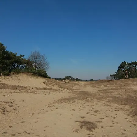 Viva La Veluwe Bed & Breakfast