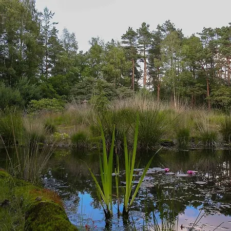 Viva La Veluwe