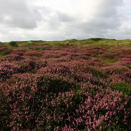 Viva La Veluwe Bed & Breakfast *
