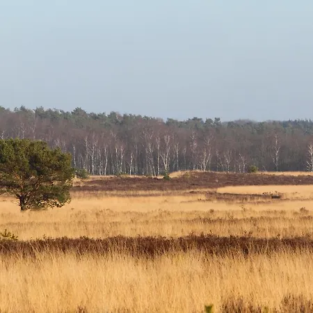Bed & Breakfast Viva La Veluwe