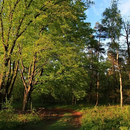 Bed & Breakfast Viva La Veluwe *