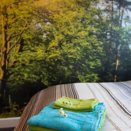 Viva La Veluwe Bed & Breakfast