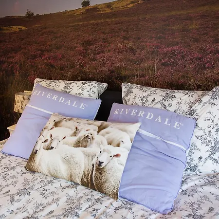 Bed & Breakfast Viva La Veluwe Nunspeet
